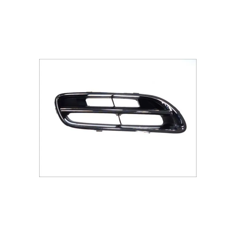 Grille de radiateur BLIC 6502-07-1608996P