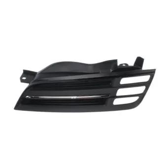 Grille de radiateur BLIC 6502-07-1609991P