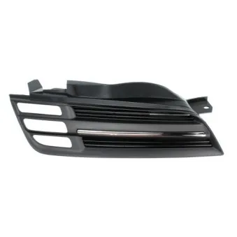 Grille de radiateur BLIC 6502-07-1609992P