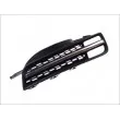 Grille de radiateur BLIC 6502-07-1609993P - Visuel 2