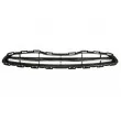 Grille de radiateur BLIC 6502-07-1610990P - Visuel 1