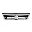 Grille de radiateur BLIC 6502-07-1610990P - Visuel 2