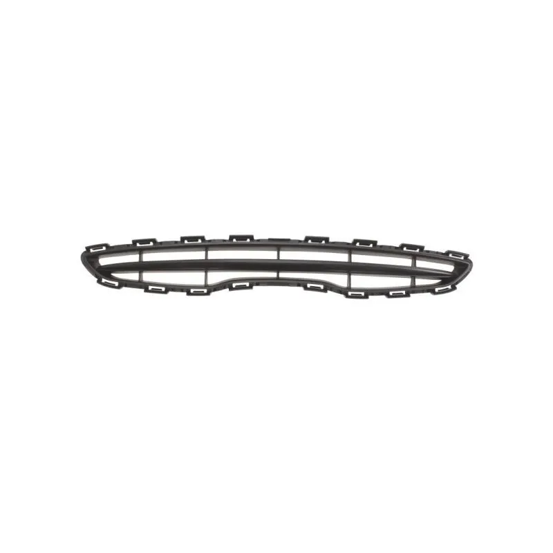 Grille de radiateur BLIC 6502-07-1610992Q