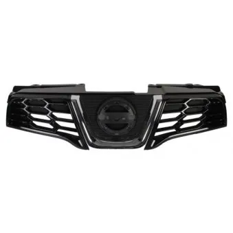 Grille de radiateur BLIC 6502-07-1617991P