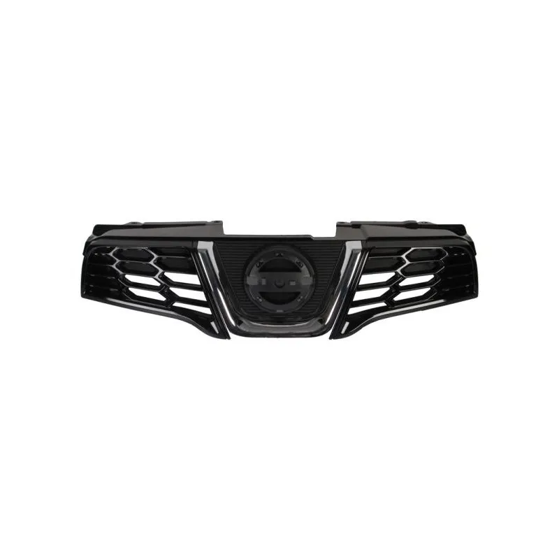 Grille de radiateur BLIC 6502-07-1617991P