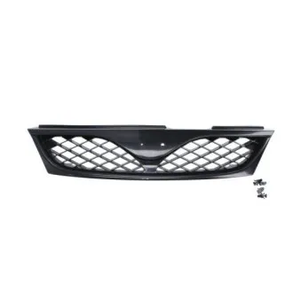 Grille de radiateur BLIC 6502-07-1629993P
