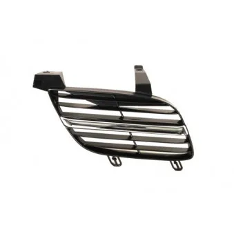 Grille de radiateur avant droit BLIC 6502-07-1632992P