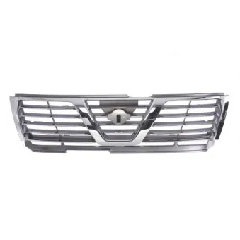 Grille de radiateur BLIC 6502-07-1647991P
