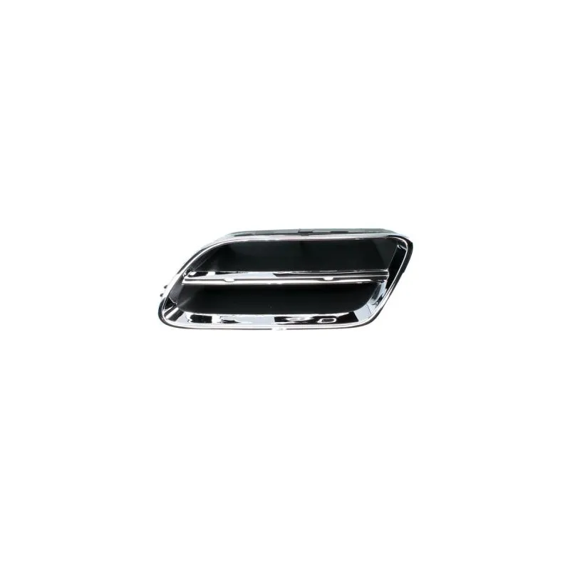 Grille de radiateur BLIC 6502-07-1668991P