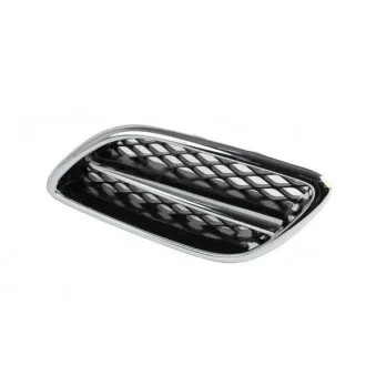 Grille de radiateur BLIC 6502-07-1668995P
