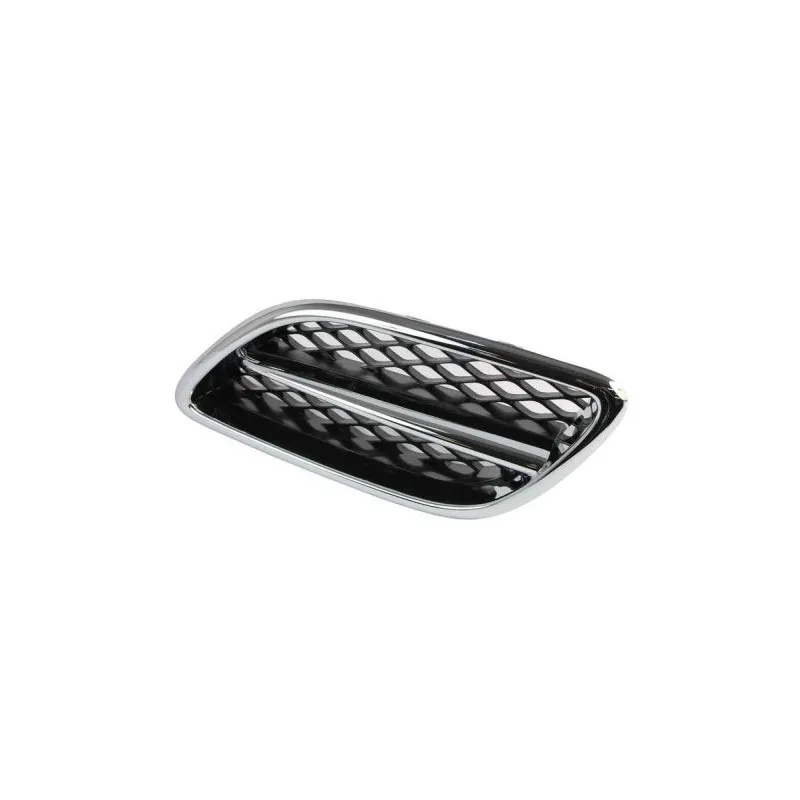 Grille de radiateur BLIC 6502-07-1668995P
