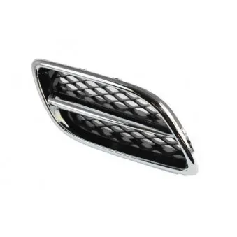 Grille de radiateur BLIC 6502-07-1668996P