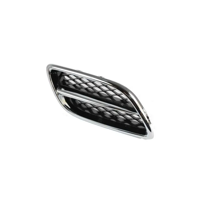 Grille de radiateur BLIC 6502-07-1668996P