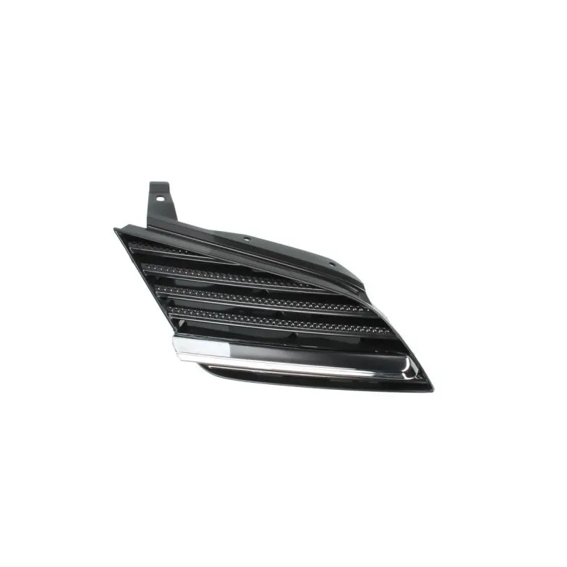 Grille de radiateur BLIC 6502-07-1670992P