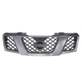 Grille de radiateur BLIC 6502-07-1677991P