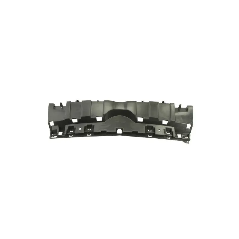 Support, grille de radiateur BLIC 6502-07-2009991P