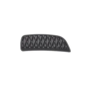 Grille de ventilation, pare-chocs avant droit BLIC 6502-07-2013996P