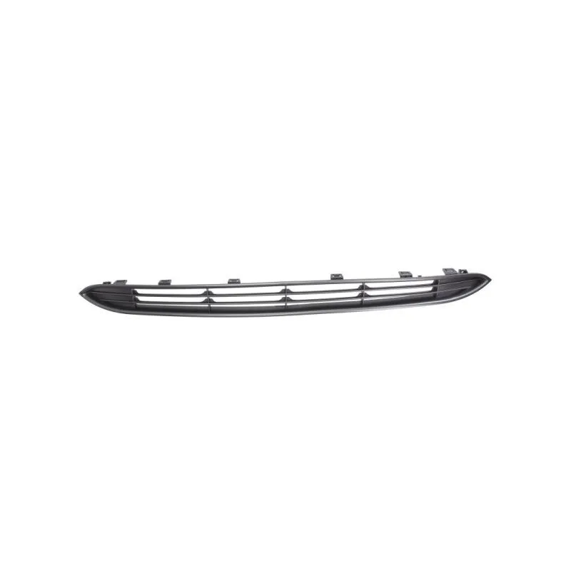 Grille de radiateur BLIC 6502-07-2019991Q