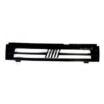 Grille de radiateur BLIC 6502-07-2021990P