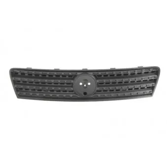 Grille de radiateur BLIC 6502-07-2023990PP