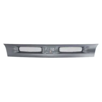Grille de radiateur BLIC 6502-07-2026990P