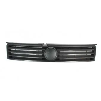 Grille de radiateur BLIC 6502-07-2027991P
