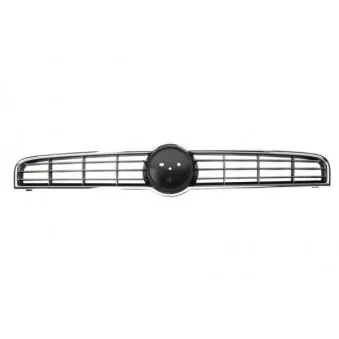 Grille de radiateur BLIC 6502-07-2029990Q