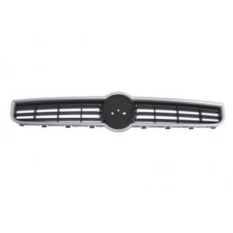 Grille de radiateur BLIC 6502-07-2029991P