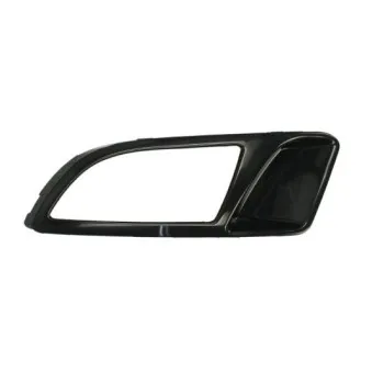 Grille de ventilation, pare-chocs avant droit BLIC 6502-07-2029994P