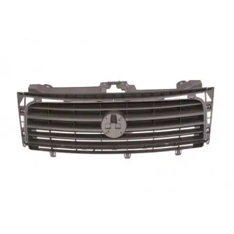 Grille de radiateur BLIC 6502-07-2035990P