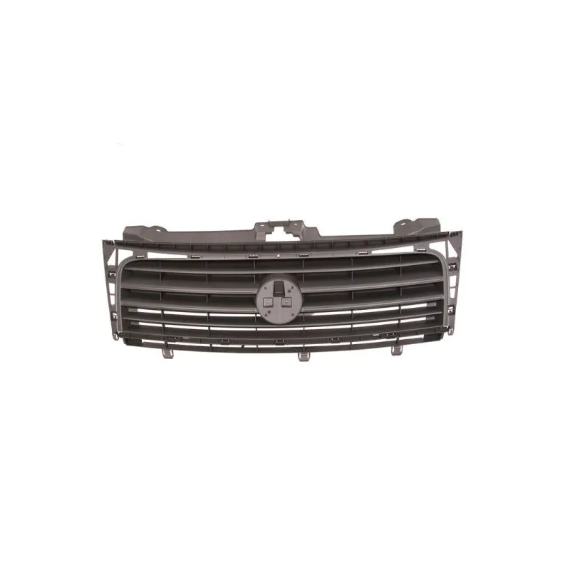 Grille de radiateur BLIC 6502-07-2035990P