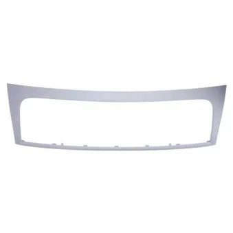 Cadre, grille de radiateur BLIC 6502-07-2035991Q