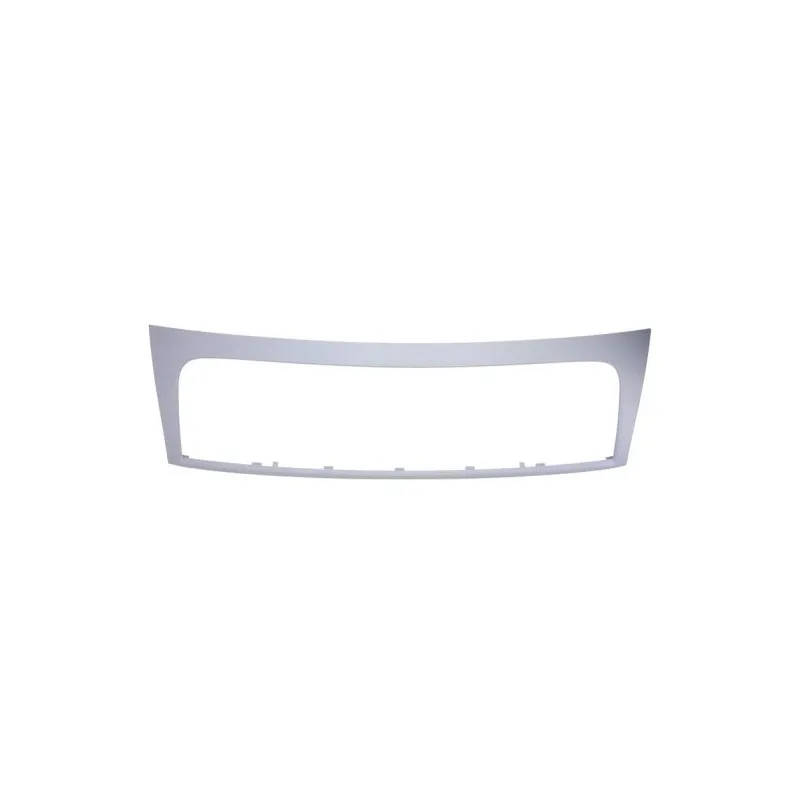 Cadre, grille de radiateur BLIC 6502-07-2035991Q