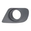 Grille de ventilation, pare-chocs BLIC 6502-07-2050916P - Visuel 1