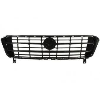 Grille de radiateur BLIC 6502-07-2098990P