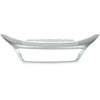 Cadre, grille de radiateur BLIC 6502-07-2098991P