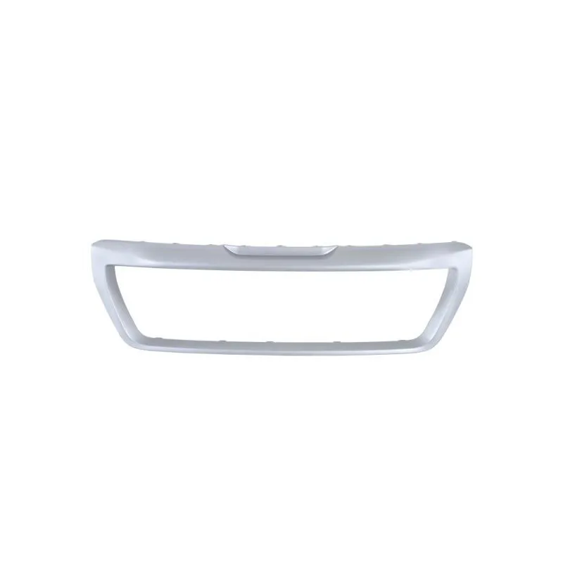 Cadre, grille de radiateur BLIC 6502-07-2098993P