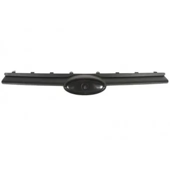 Grille de radiateur BLIC 6502-07-2508990P