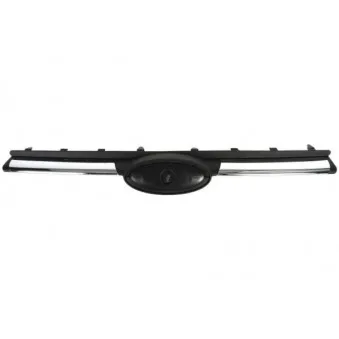 Grille de radiateur BLIC 6502-07-2508991P