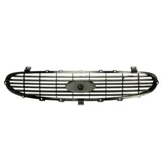 Grille de radiateur BLIC 6502-07-2515993P