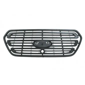 Grille de radiateur BLIC 6502-07-2518990P