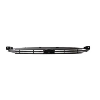 Grille de radiateur BLIC 6502-07-2530994P