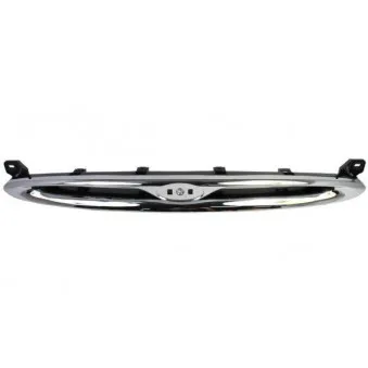 Grille de radiateur BLIC 6502-07-2530995P