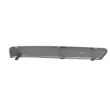 Baguette et bande protectrice, pare-chocs avant gauche BLIC 6502-07-2533921P - Visuel 2