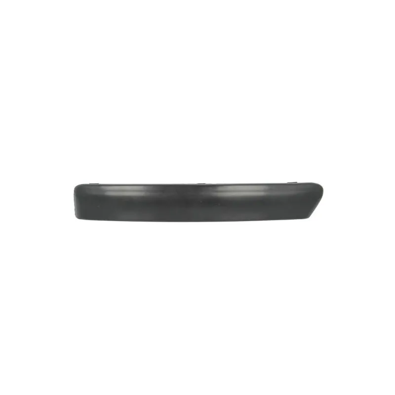 Baguette et bande protectrice, pare-chocs avant gauche BLIC 6502-07-2533923P