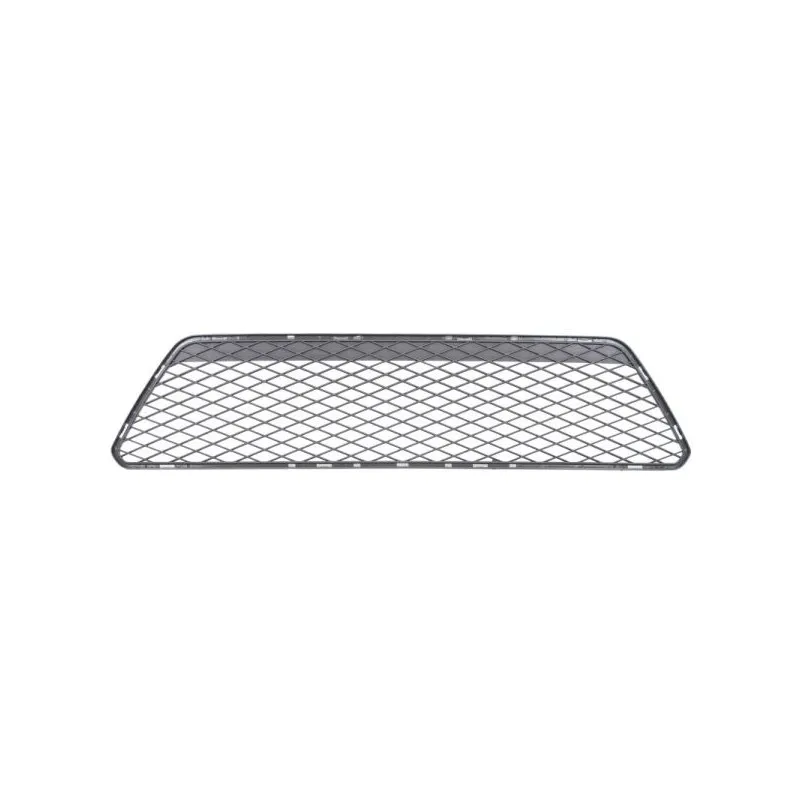 Grille de ventilation, pare-chocs BLIC 6502-07-2533992CC