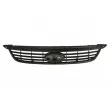 Grille de radiateur BLIC 6502-07-2533992P - Visuel 3