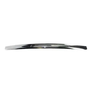 Baguette et bande protectrice, grille de radiateur BLIC 6502-07-2533993P