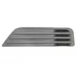 Grille de ventilation, pare-chocs BLIC 6502-07-2533996PP - Visuel 1
