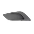 Grille de ventilation, pare-chocs BLIC 6502-07-2533997BP - Visuel 2